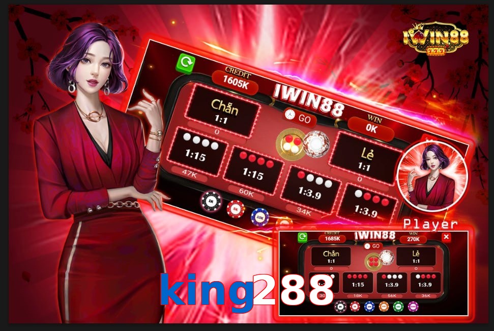 king288