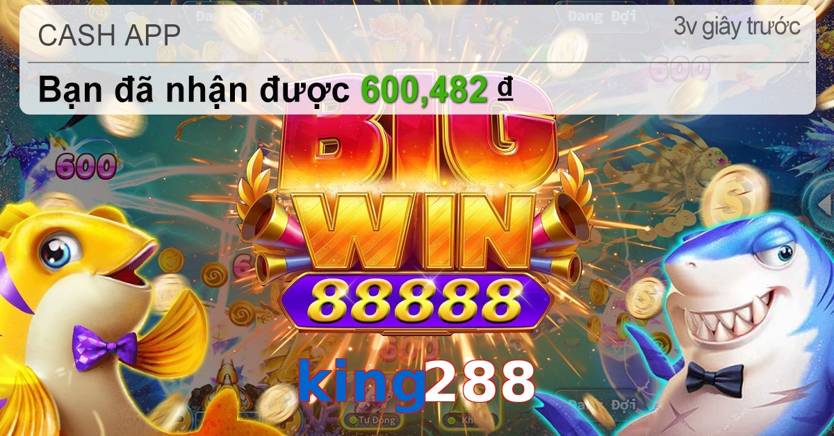 king288