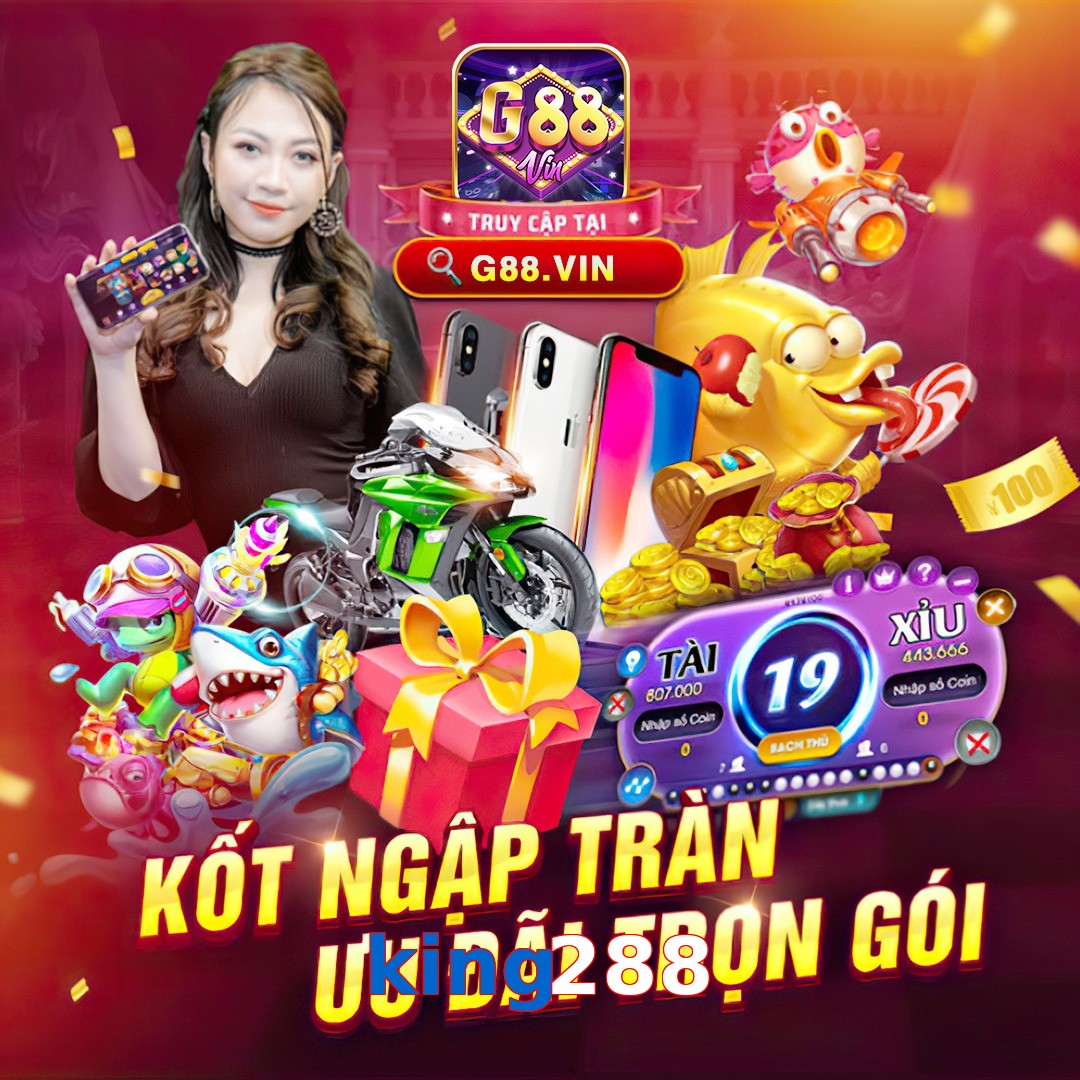 king288