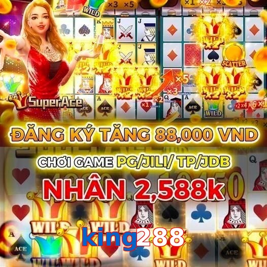 king288